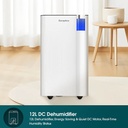 EuropAce 12L DC Dehumidifier + Laundry Dryer | Lower Noise Level, Greater Energy Efficiency (EDH3120DDC)