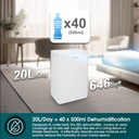 EuropAce 20L Most Compact Dehumidifier + Odour Remover + Laundry Dryer (3-in-1) | 3Y Full Warranty (EDH3200DWH) 