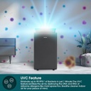 EuropAce 40L Smart DC Shoe Drying Dehumidifier + Air Purifier with FREE Tower Fan (Worth $299) (EDH8400DGY + FREE ETF9111DWH) 