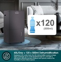 EuropAce 60L Smart & Intelligent DC Dehumidifier + Standalone HEPA Air Purifier | 3Y Full Warranty (EDH9600DGY)
