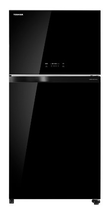 Toshiba 548L Top Mounted Freezer GR-RT735WE-PGX(XK)
